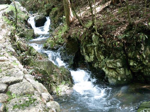 文化助残圆梦 爱心点亮生活